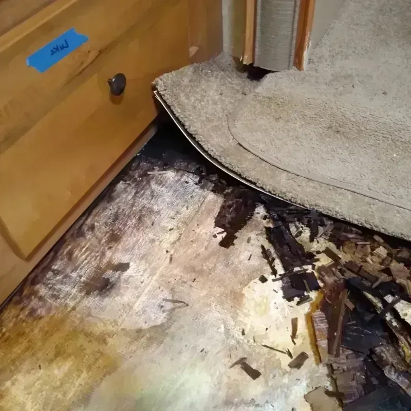 Best Wood Floor Water Damage Service in Timberwood Park, TX